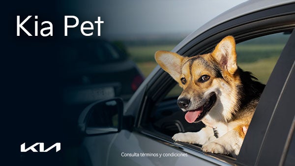 Ellos merecen lo mejor